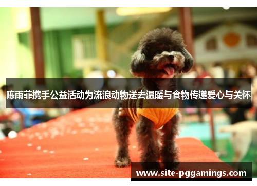 陈雨菲携手公益活动为流浪动物送去温暖与食物传递爱心与关怀 陈雨菲携手公益活动为流浪动物送去温暖与食物传递爱心与关怀
