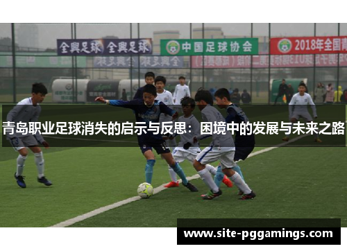 青岛职业足球消失的启示与反思：困境中的发展与未来之路