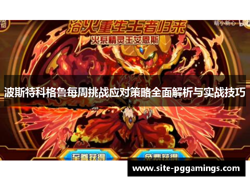 波斯特科格鲁每周挑战应对策略全面解析与实战技巧