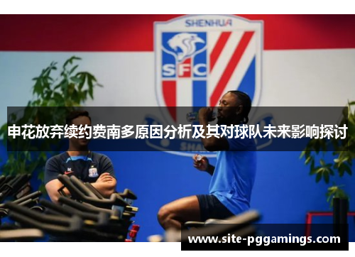 申花放弃续约费南多原因分析及其对球队未来影响探讨